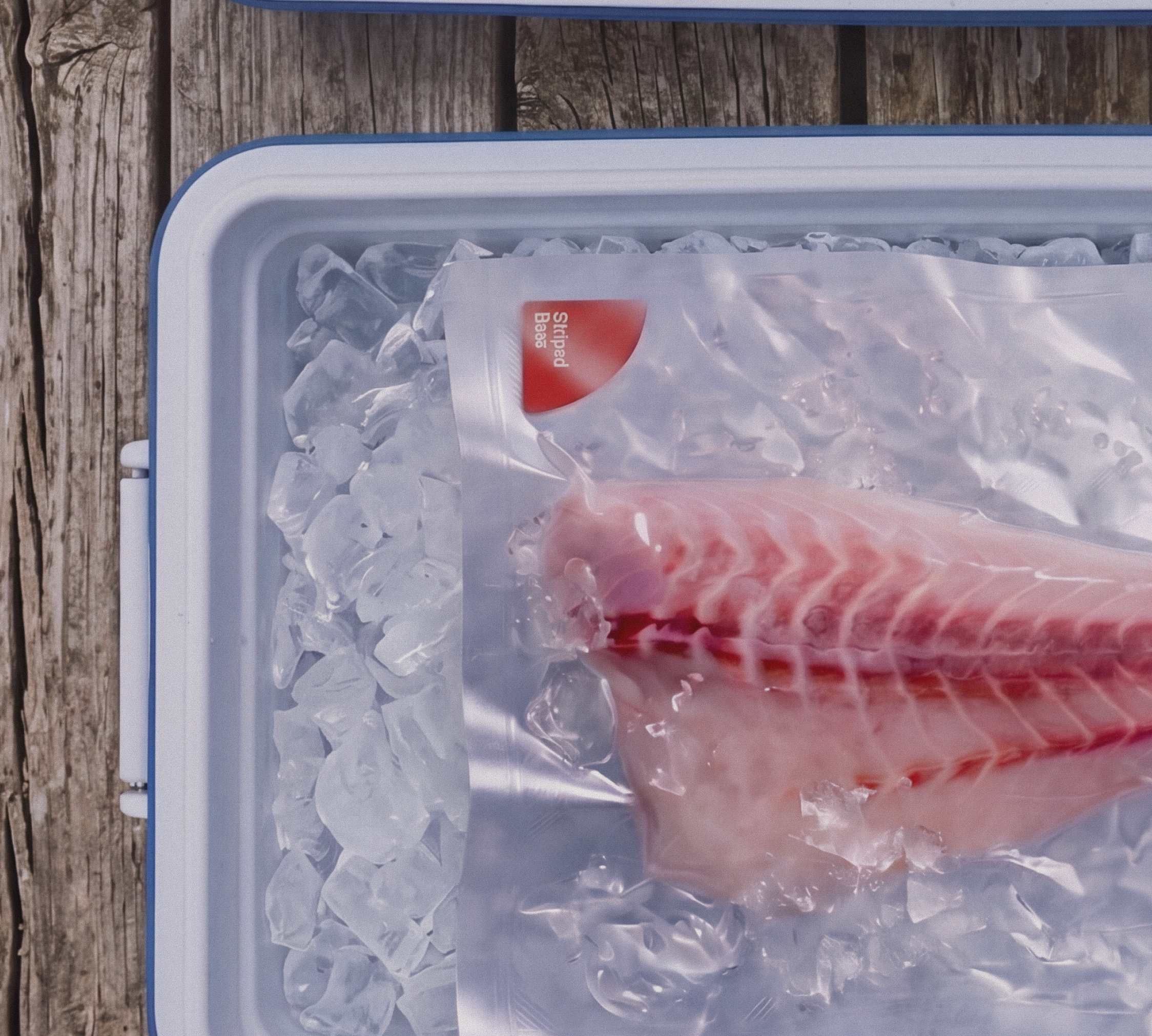 Cooler & Transport Packaging