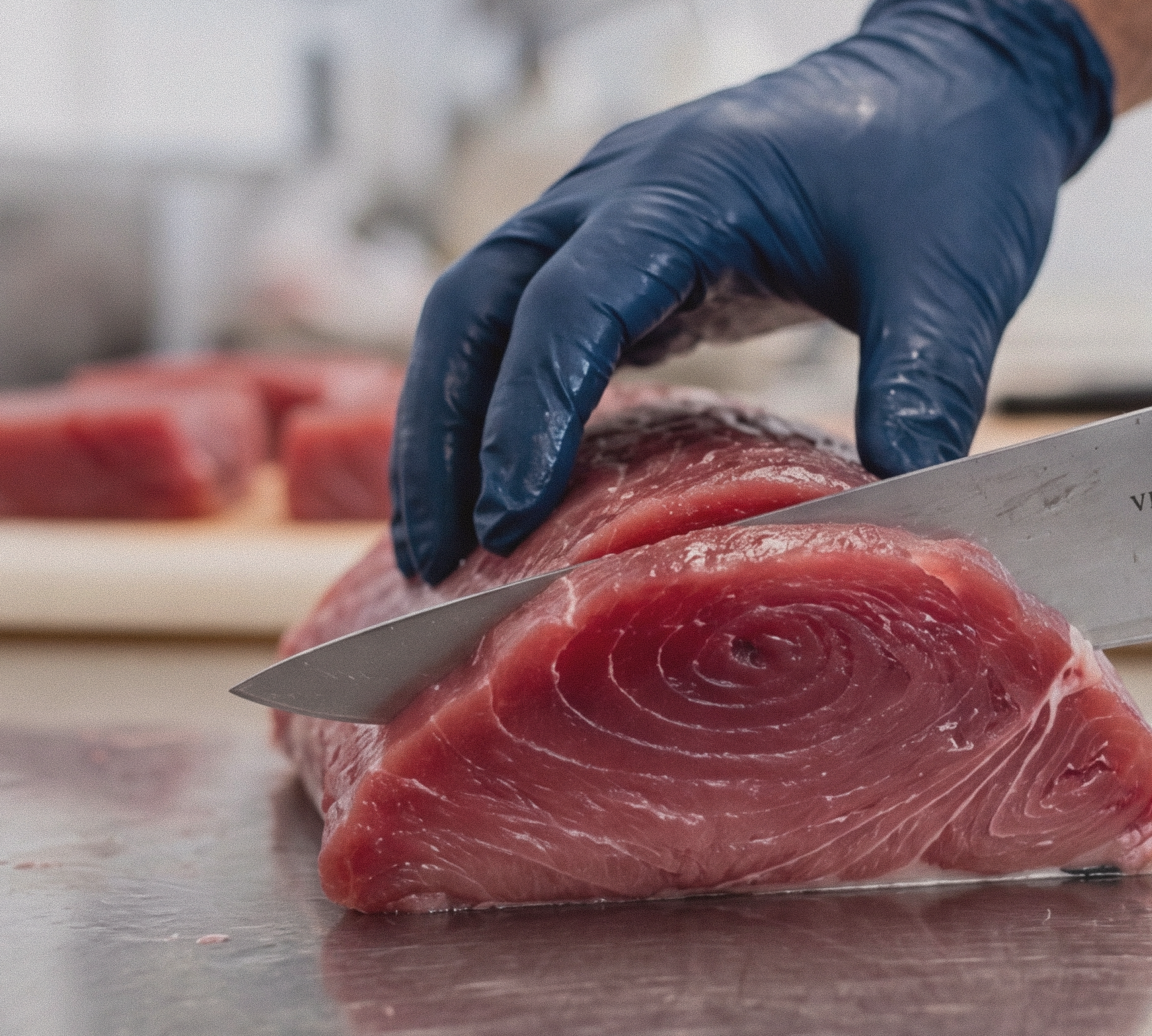 Fish Breakdown & Portioning