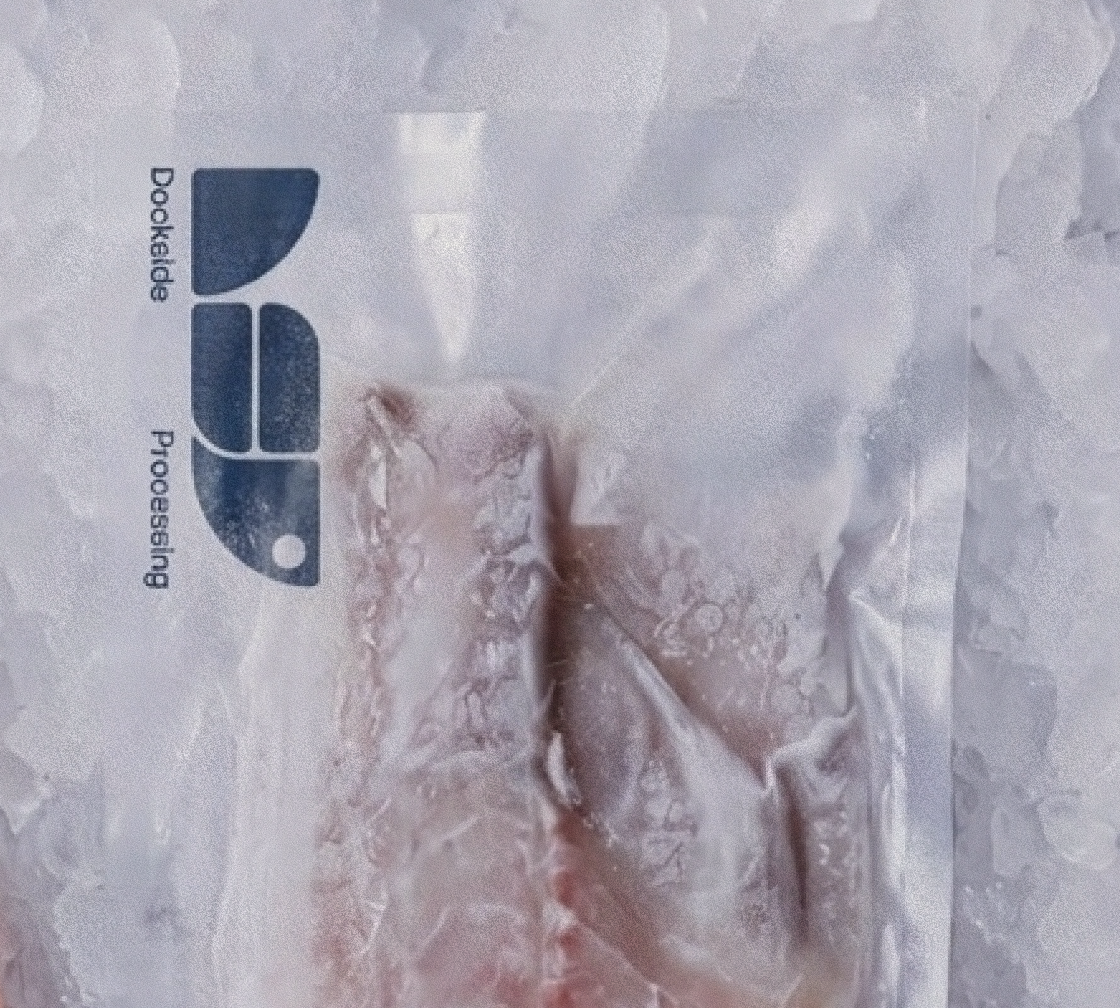 Vacuum Sealing & Packaging