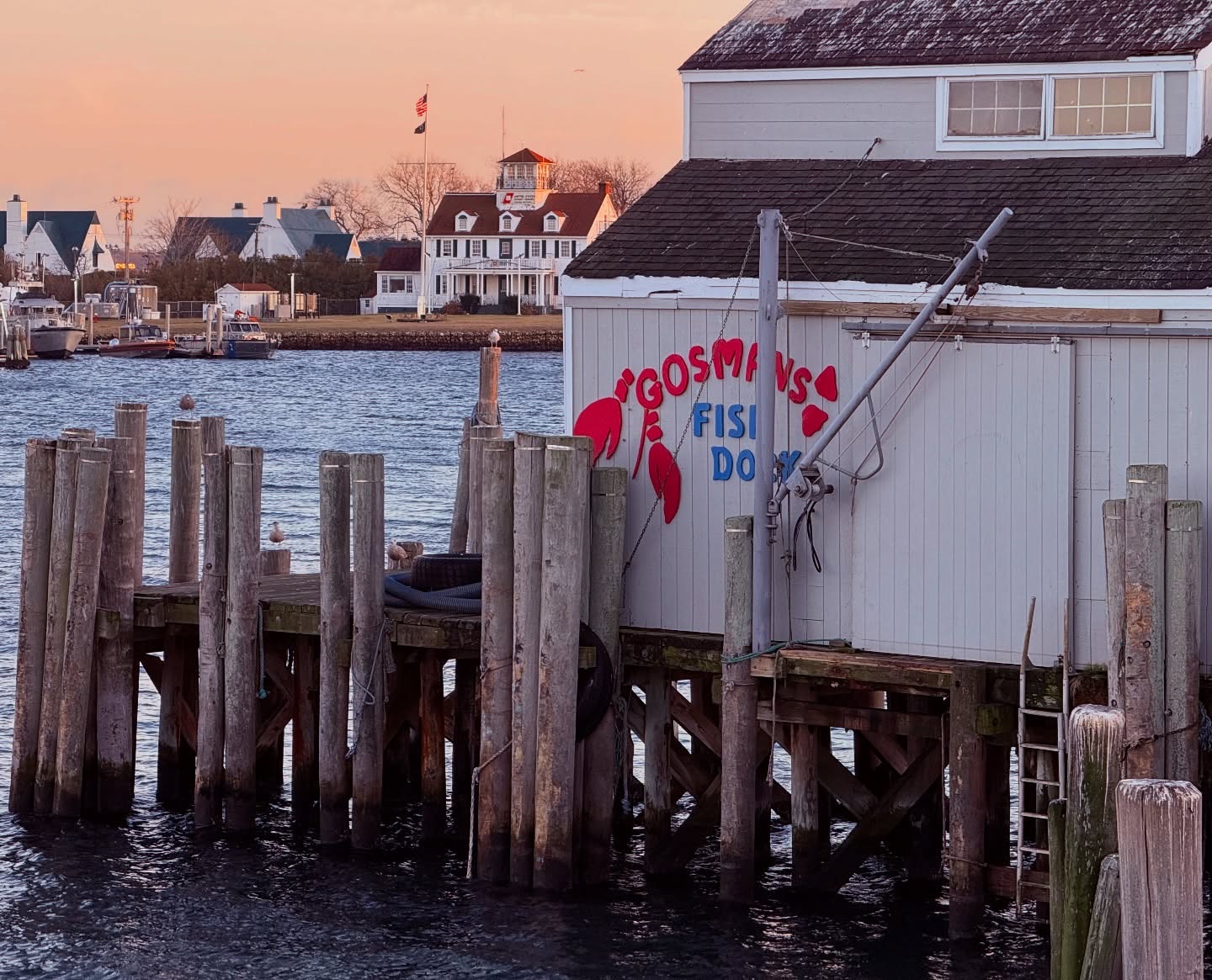 Dockside background